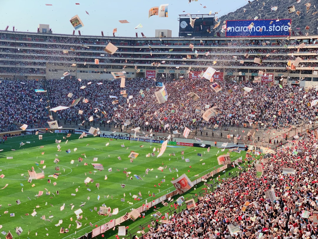 football stadium crowd