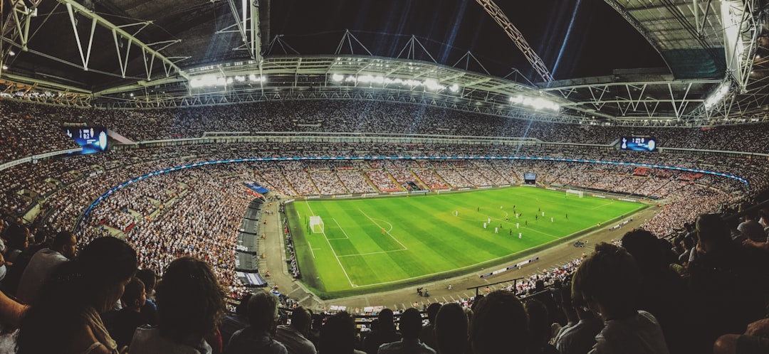 soccer stadium fans