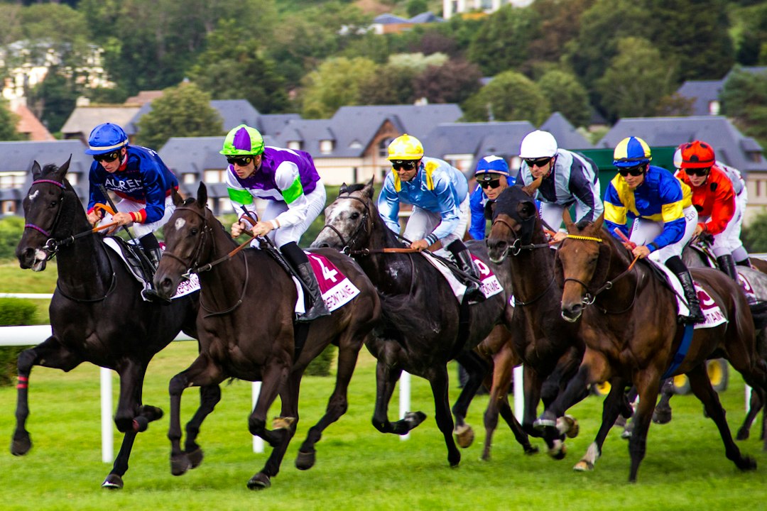 horse racing finish