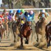 Each-Way Betting Explained: How Place Terms and Fractions Work