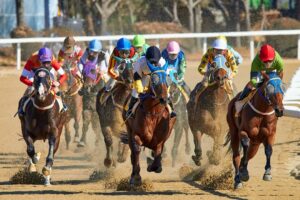Each-Way Betting Explained: How Place Terms and Fractions Work