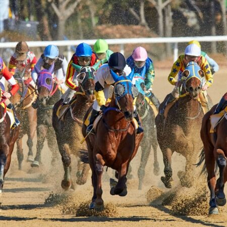 Each-Way Betting Explained: How Place Terms and Fractions Work