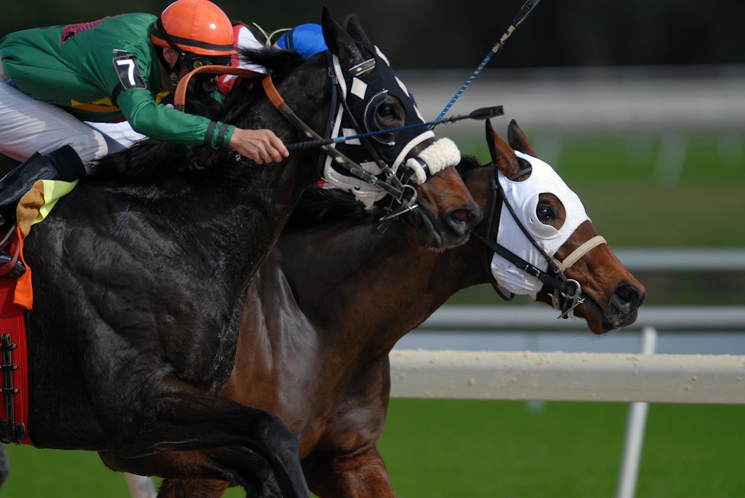 horse racing finish line