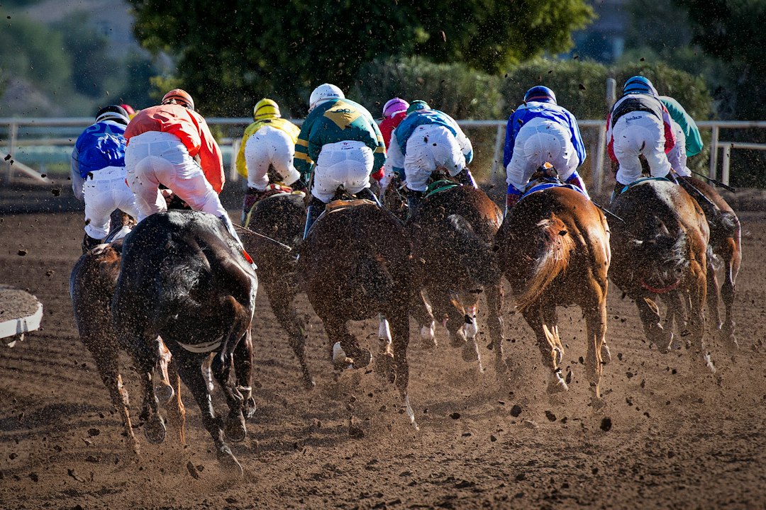 horse racing track