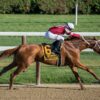 Void Bet and Dead Heat Rules Explained: How Your Payout Is Really Calculated