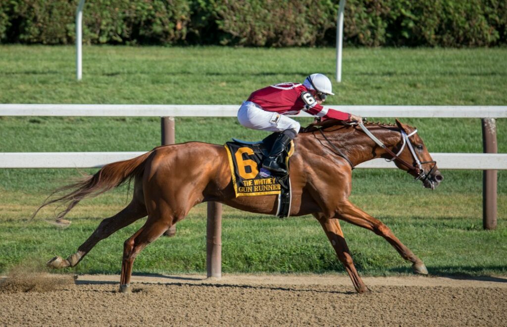 Void Bet and Dead Heat Rules Explained: How Your Payout Is Really Calculated