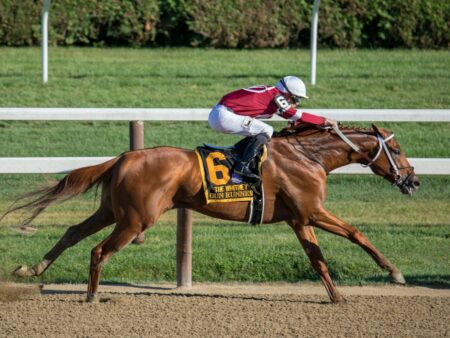 Void Bet and Dead Heat Rules Explained: How Your Payout Is Really Calculated