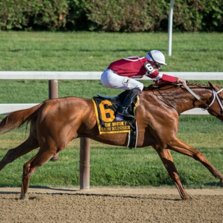 Void Bet and Dead Heat Rules Explained: How Your Payout Is Really Calculated